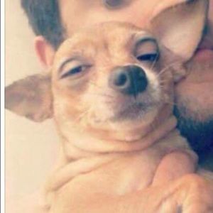 Meet your Posher, Cole